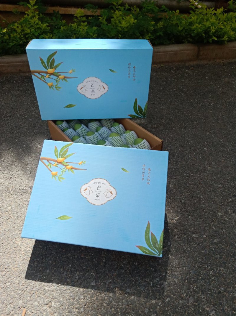 攀枝花椰香芒果