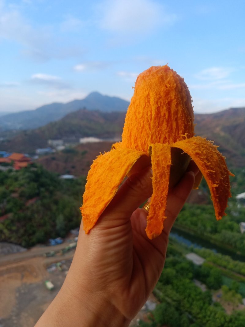 攀枝花椰香芒果