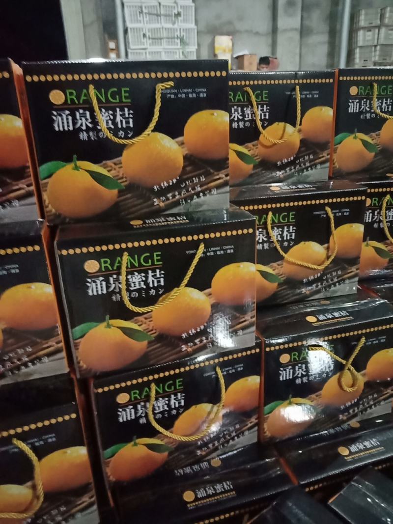 浙江大炮丑桔保质保量预售中（大丰，特早，宫川蜜橘）