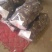 紫光圆茄可以视频看货，货源充足，大量现货