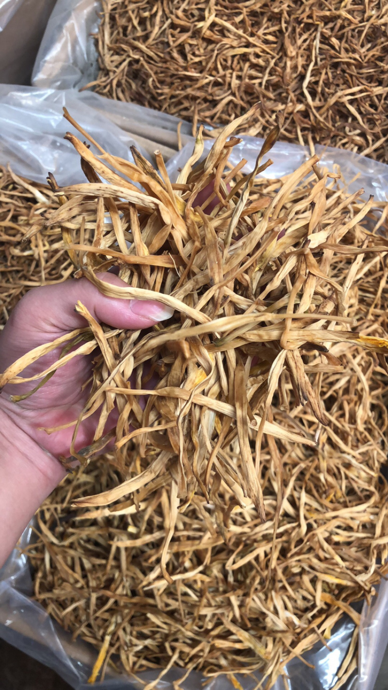 陕西大荔黄花菜，产地直销，价格实惠，欢迎订购。