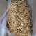 陕西大荔黄花菜，产地直销，价格实惠，欢迎订购。