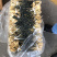 高原白菜干产地直销，欢迎订购，颜色好干度好。