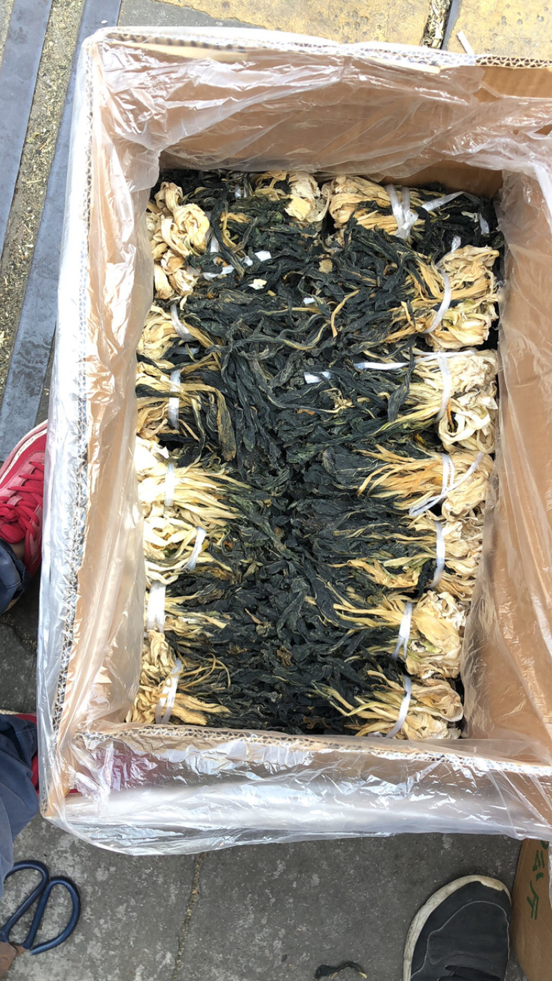高原白菜干产地直销，欢迎订购，颜色好干度好。