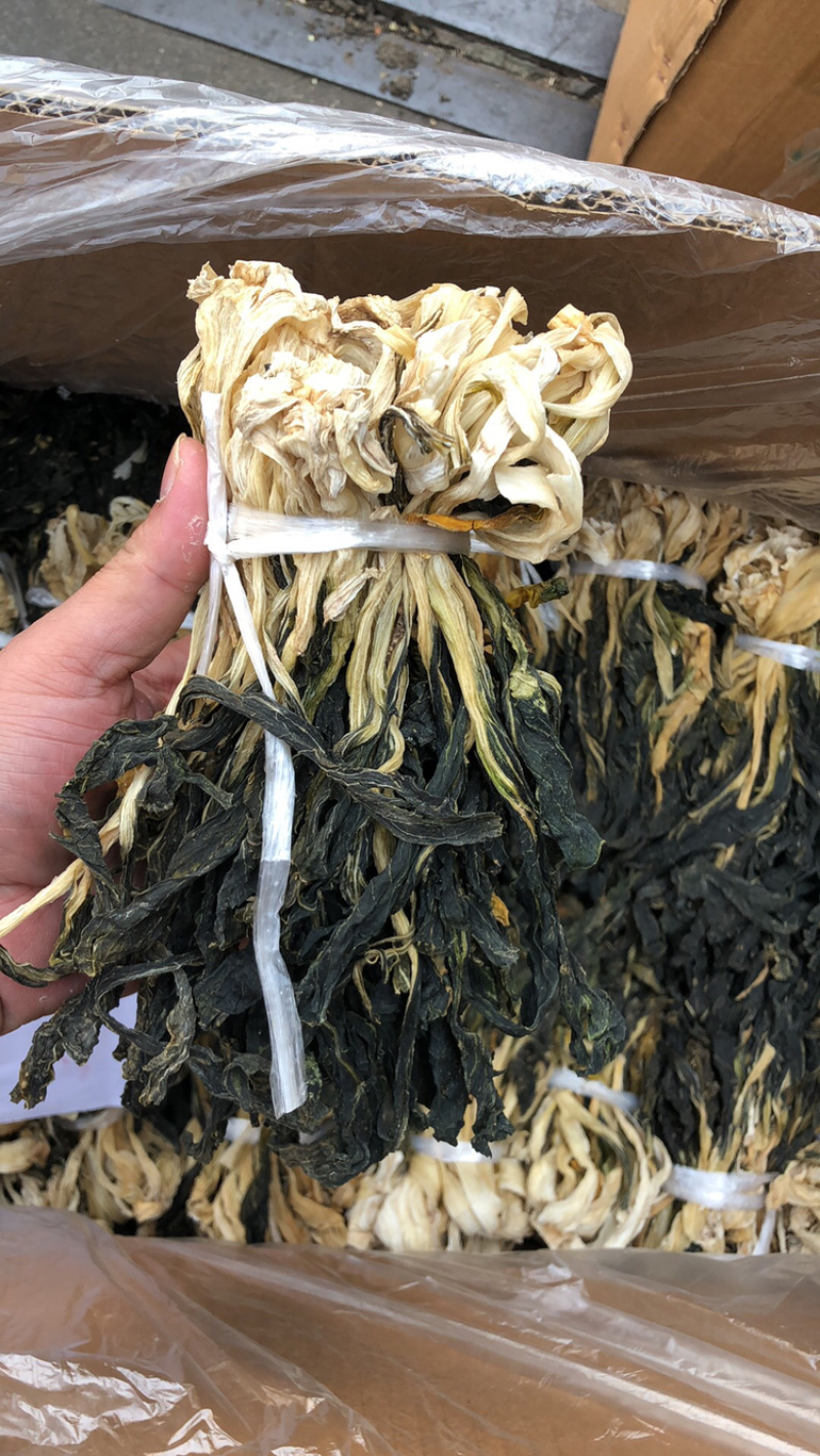 高原白菜干产地直销，欢迎订购，颜色好干度好。