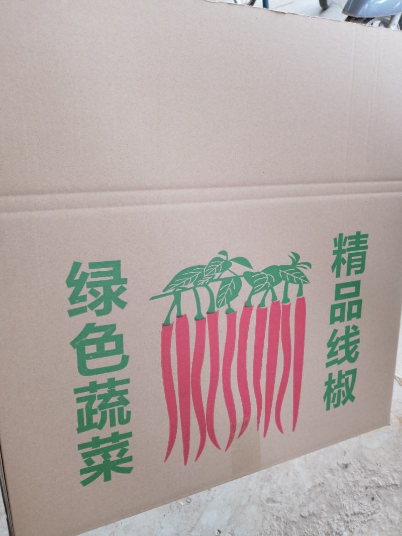优质线椒已大量上市，产地直供，货源充足，欢迎预订