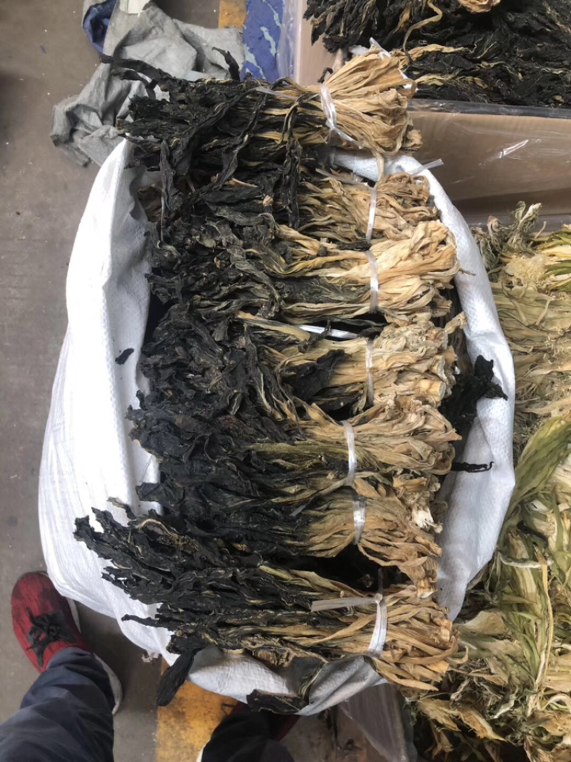 兰州甘肃脱水白菜干新货上市，产地直销，欢迎订购，