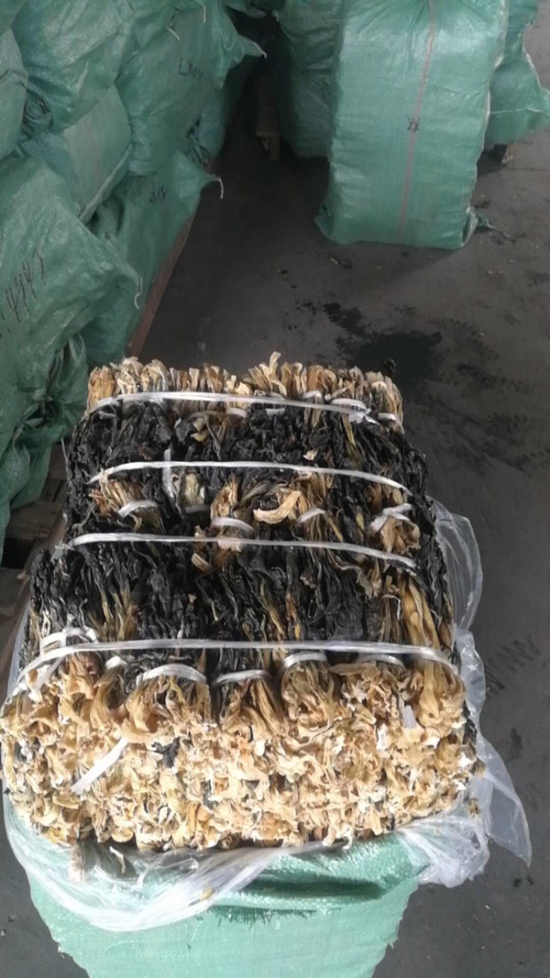 兰州甘肃脱水白菜干新货上市，产地直销，欢迎订购，