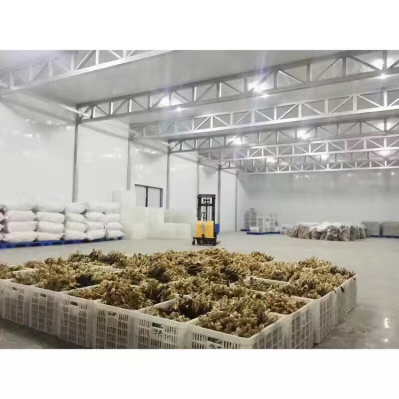 广东省英德清远本地脱水白菜产地直销，欢迎订购。