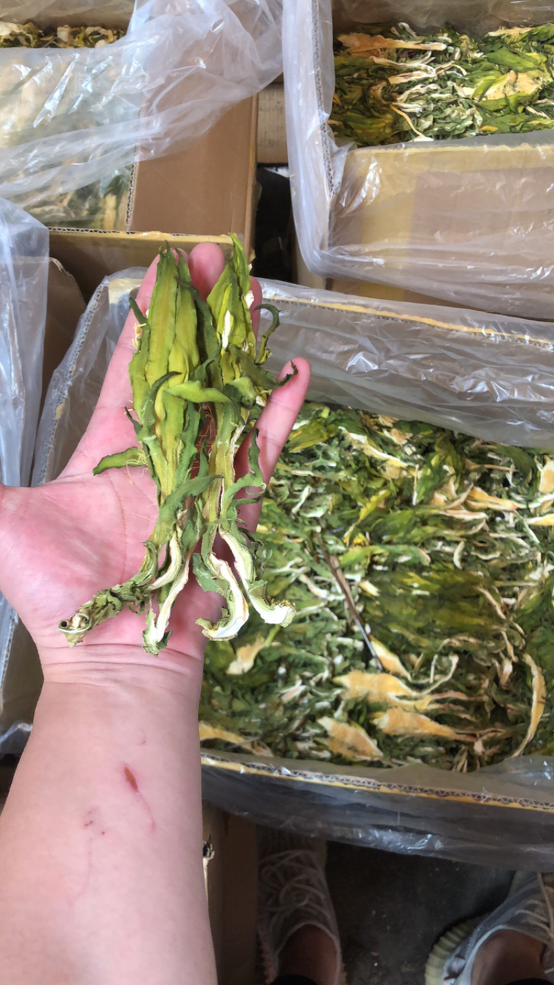 广东霸王花产地直销，欢迎订购，颜色青，干度足。