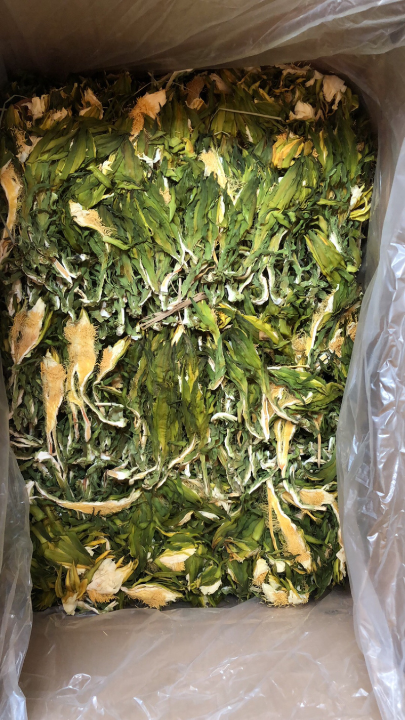 广东霸王花产地直销，欢迎订购，颜色青，干度足。
