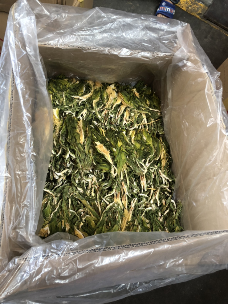 广东霸王花产地直销，欢迎订购，颜色青，干度足。
