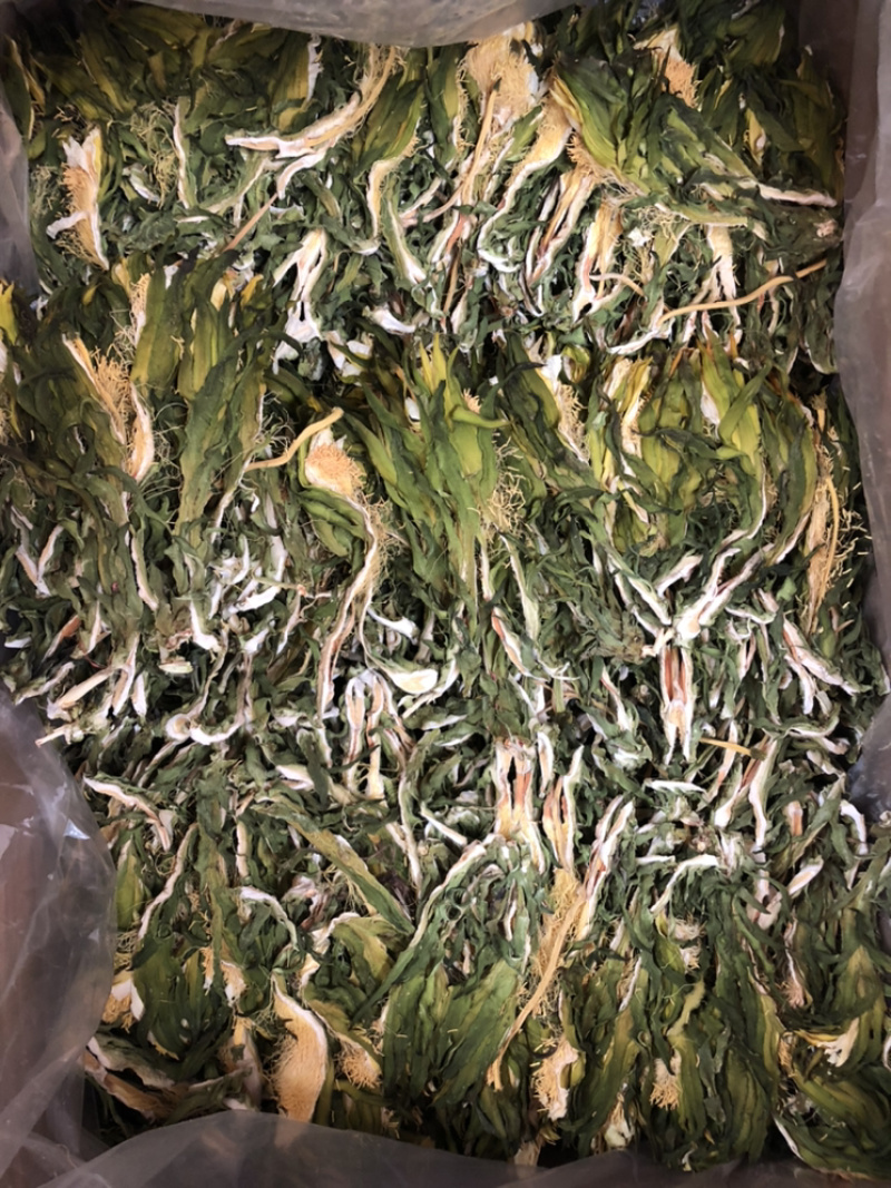 广东霸王花产地直销，欢迎订购，颜色青，干度足。
