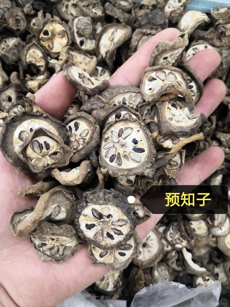 正品无硫预知子八月札八月扎预知子各种中药材