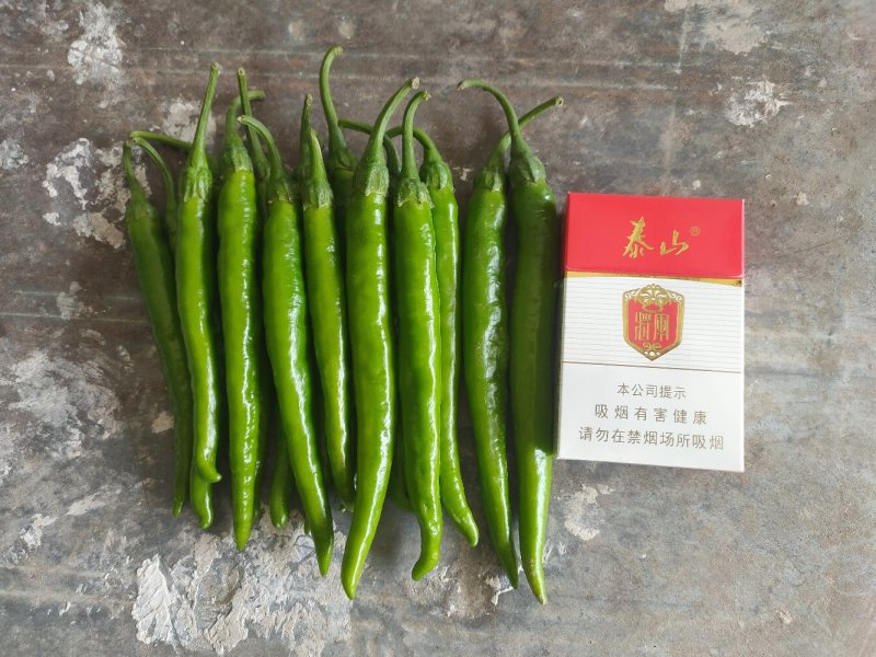 精品杭椒