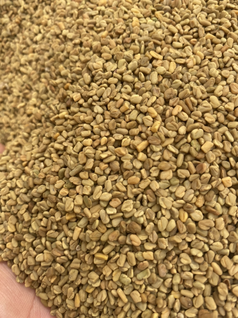 葫芦巴产地直销量大从优批发各种中药材