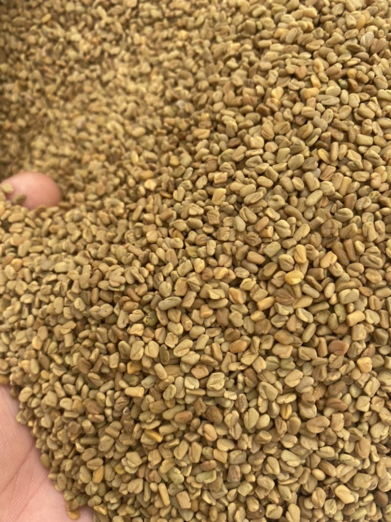 葫芦巴产地直销量大从优批发各种中药材