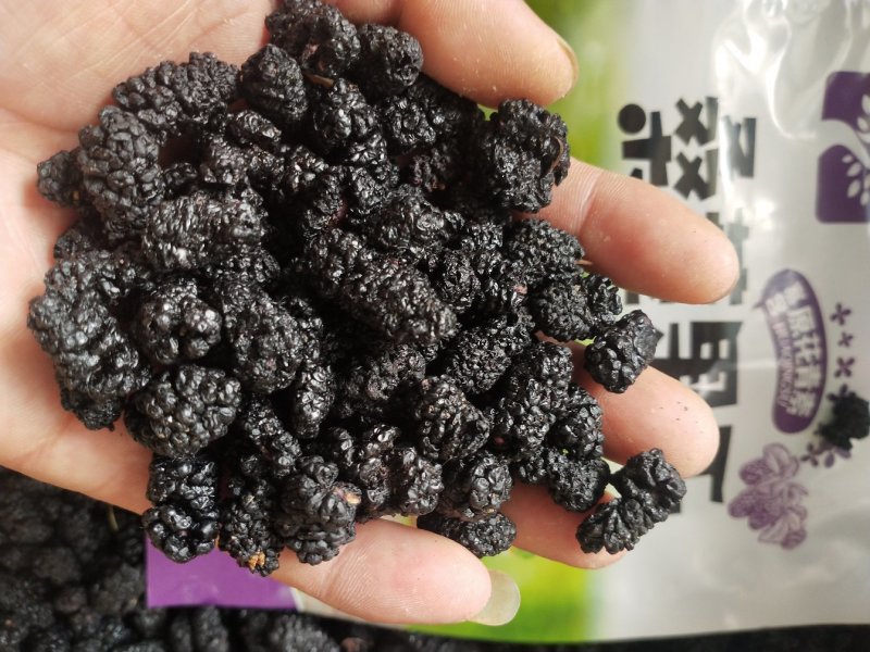 四川桑葚干今年免洗新货药用零食泡茶泡酒无沙无碎无杂质