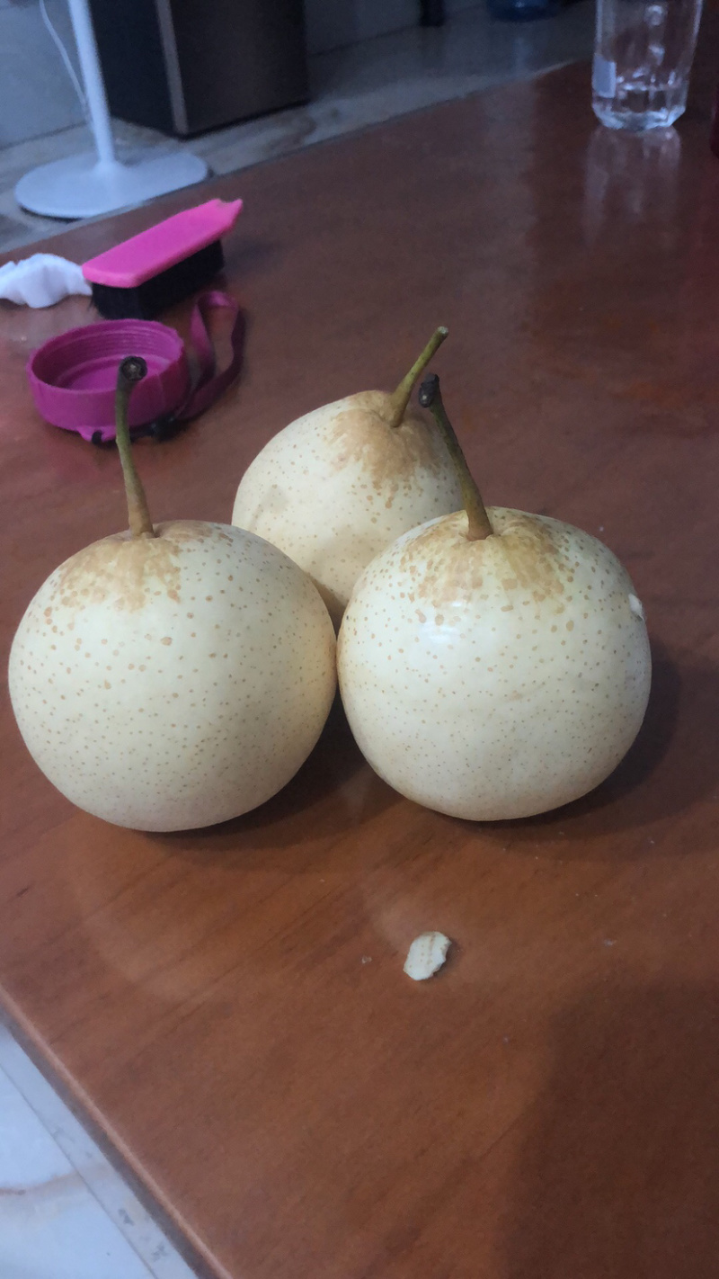 【热销】鸭梨又大又甜一手货源量大从优质量保证
