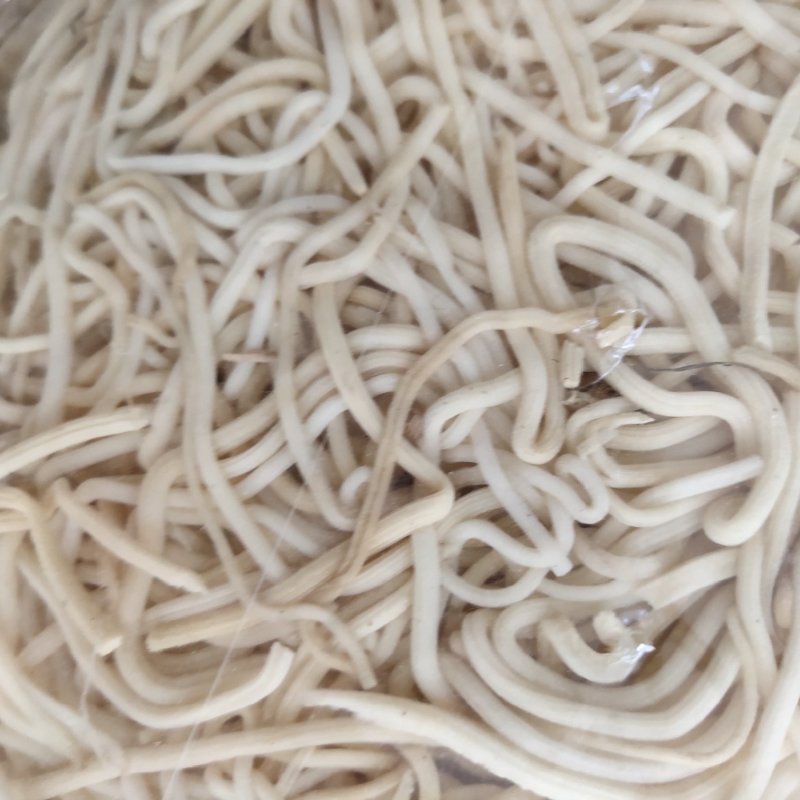 灯芯草，新货，足斤不包邮无杂质关书药业……