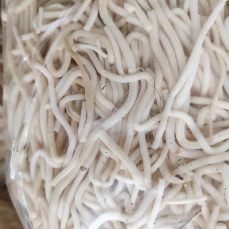 灯芯草，新货，足斤不包邮无杂质关书药业……