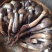新鲜野生鸡枞菌云南野生鸡枞
