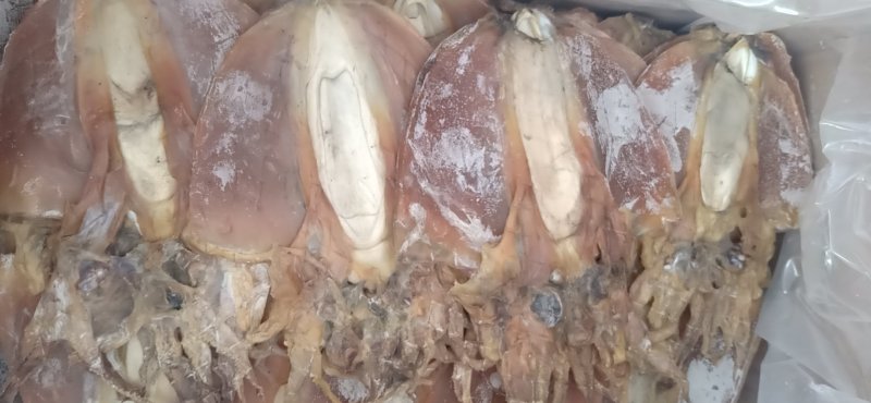 墨鱼干干度九成，微咸的