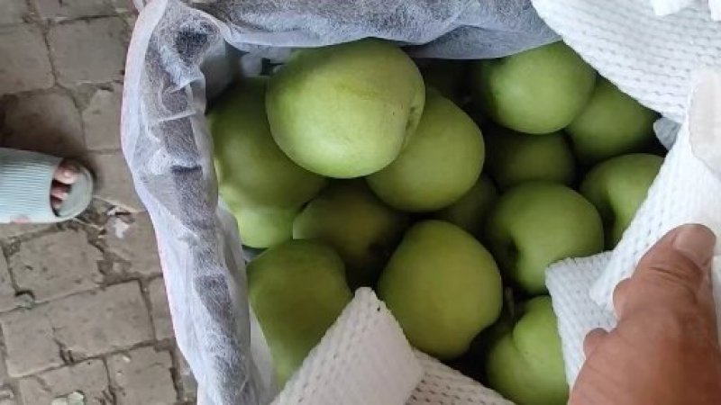 绿宝石梨，诚信寻求客商，供商场超市，品质保证