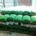 开心绿毛豆_基地直供_保证质量-货源充足。