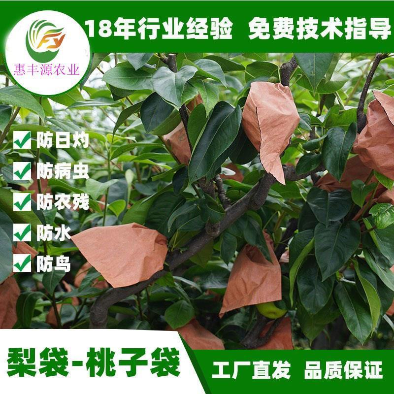梨袋丰水梨套袋黄金梨套袋晚秋脆冠黄梨袋梨子套袋双层双