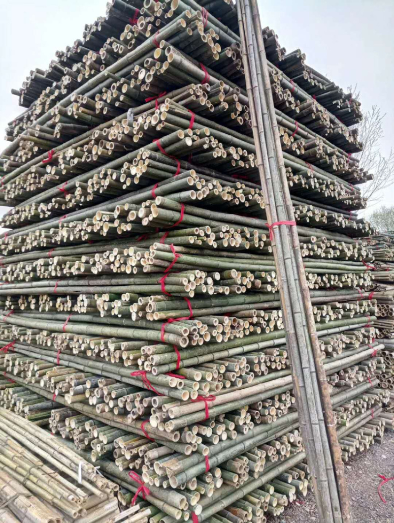 园林绿化支撑杆支撑架杉木杆