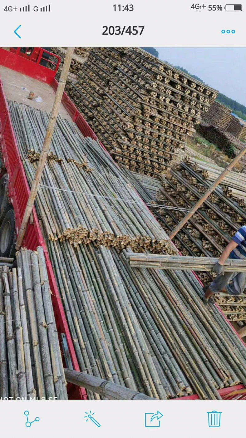园林绿化支撑杆支撑架杉木杆