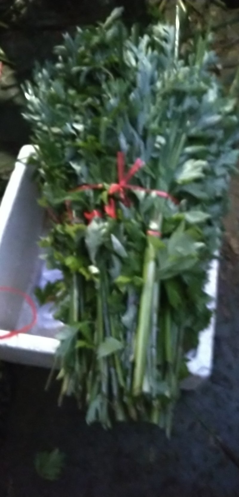 端午节新鲜艾草，菖蒲，按客户要求打包，产地直供，量大从优