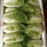 娃娃菜娃娃菜大量上市