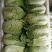娃娃菜娃娃菜大量上市