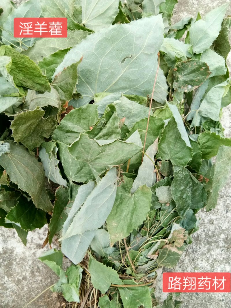 正品柔毛淫羊藿产地直发高含量干度好