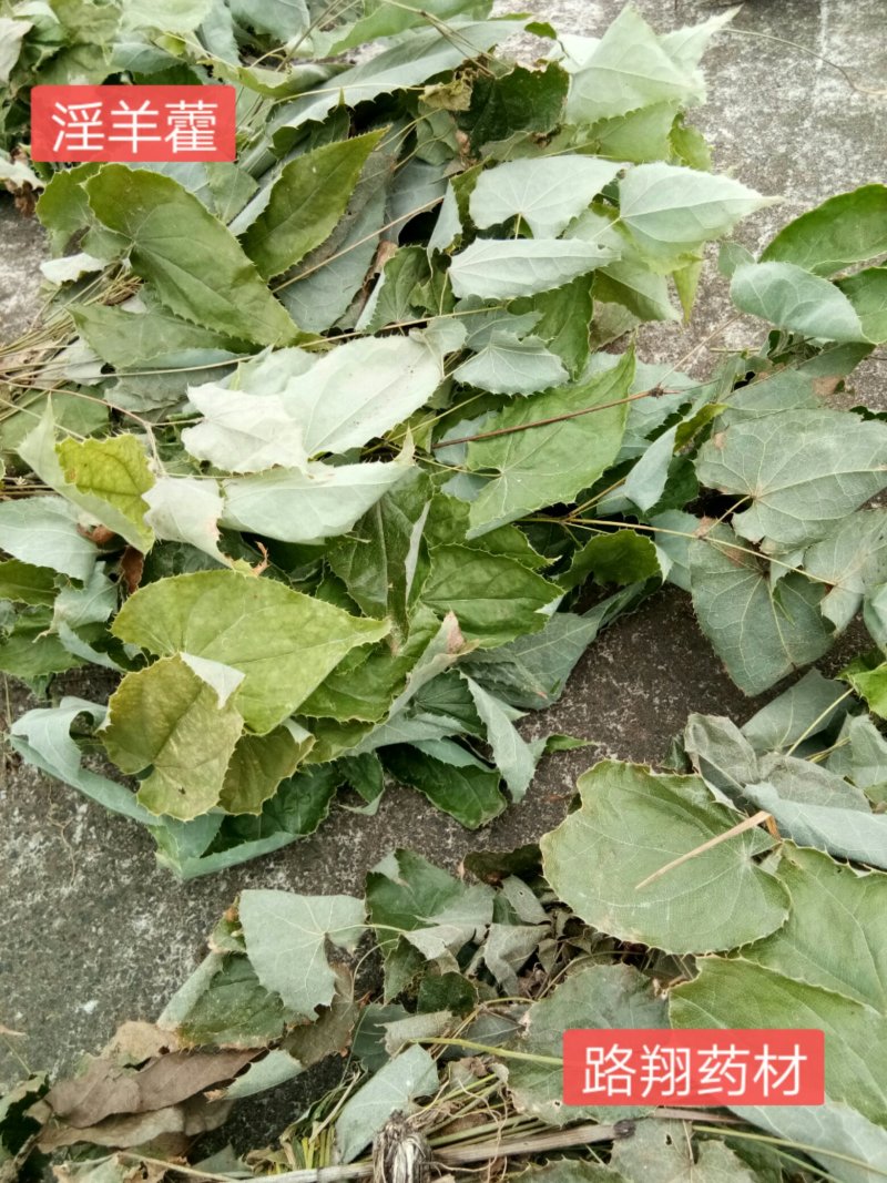 正品柔毛淫羊藿产地直发高含量干度好