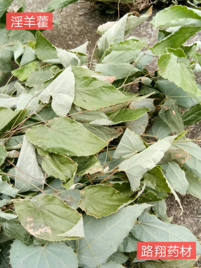 正品柔毛淫羊藿产地直发高含量干度好