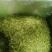 金银花今年新货上市货干净
