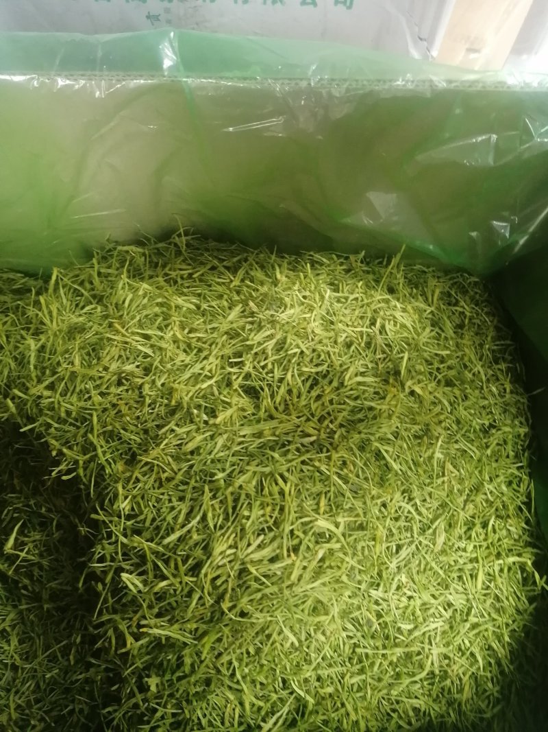 金银花今年新货上市货干净