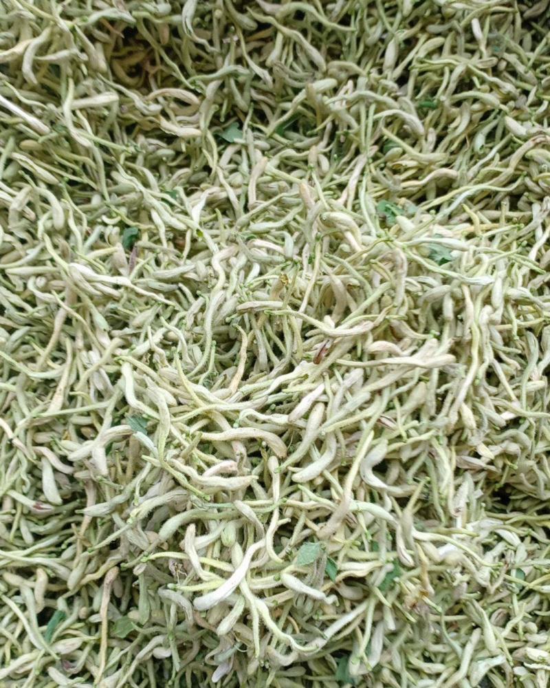 产地直销金银花，沂蒙山山区里的小草花，有叫本地笨金银花