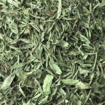 甜叶菊【包邮】三斤起发货可批量可零售量大从优