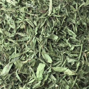 甜叶菊【包邮】三斤起发货可批量可零售量大从优