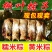 槲叶粽子每天出锅新鲜