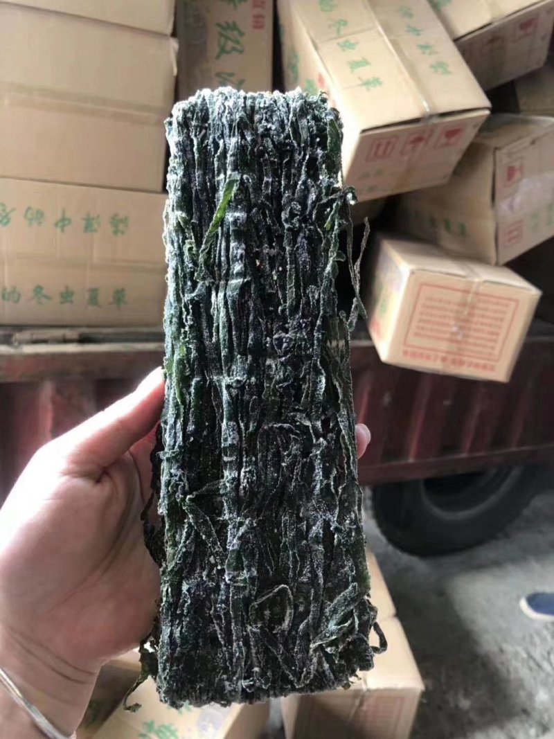 海带丝地摊展销会早市热卖产品一手货源