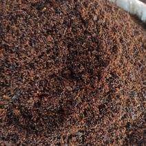 蚂蚁黄蚂蚁精品可打粉中药专营保证品质