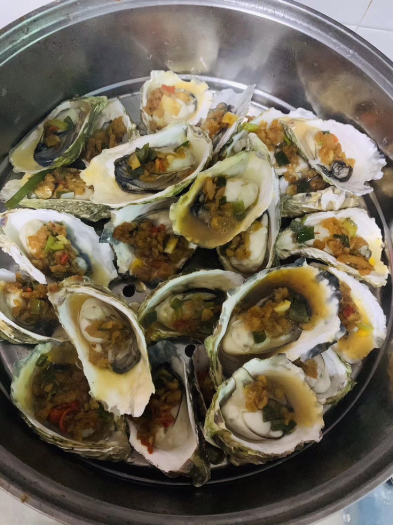 鲜活牡蛎新鲜全壳生蚝壳薄肉肥每天现捞现发