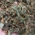 鱼腥草鱼腥草叶可打粉批发零售中药材品质保证