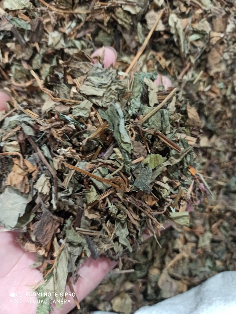 鱼腥草鱼腥草叶可打粉批发零售中药材品质保证