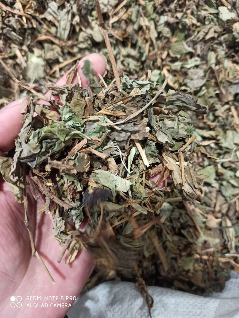鱼腥草鱼腥草叶可打粉批发零售中药材品质保证